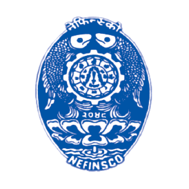 Nepal Finance Ltd. (NFS) logo