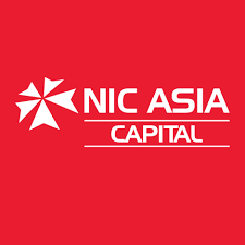 NIC Asia Flexi CAP Fund (NICFC) logo