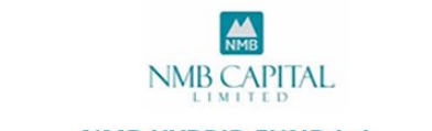 NMB Sulav Investment Fund - 2 (NSIF2) logo
